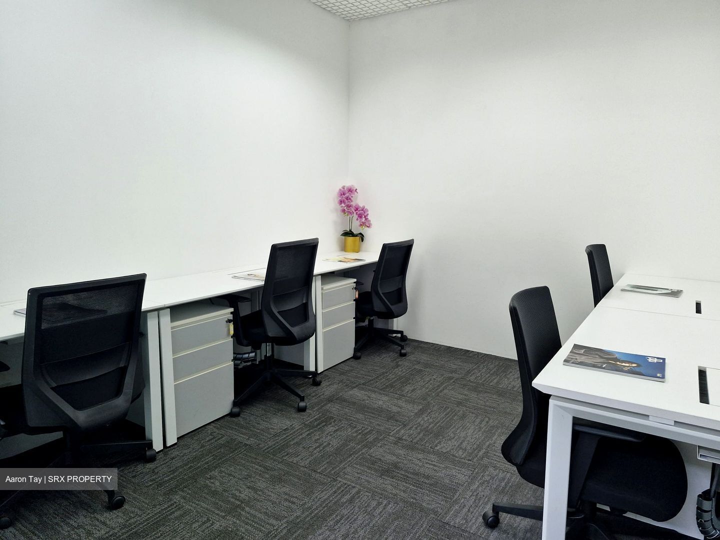 Bugis Junction (D7), Office #552883111